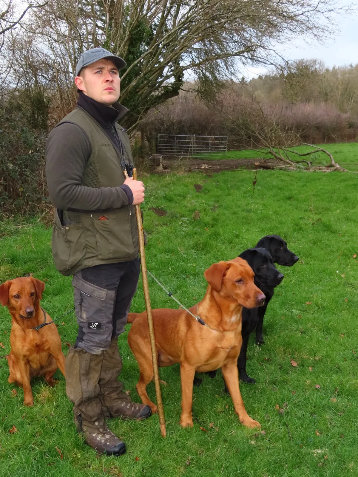 Henry, founder of Pittfield Gundogs, out on the farm