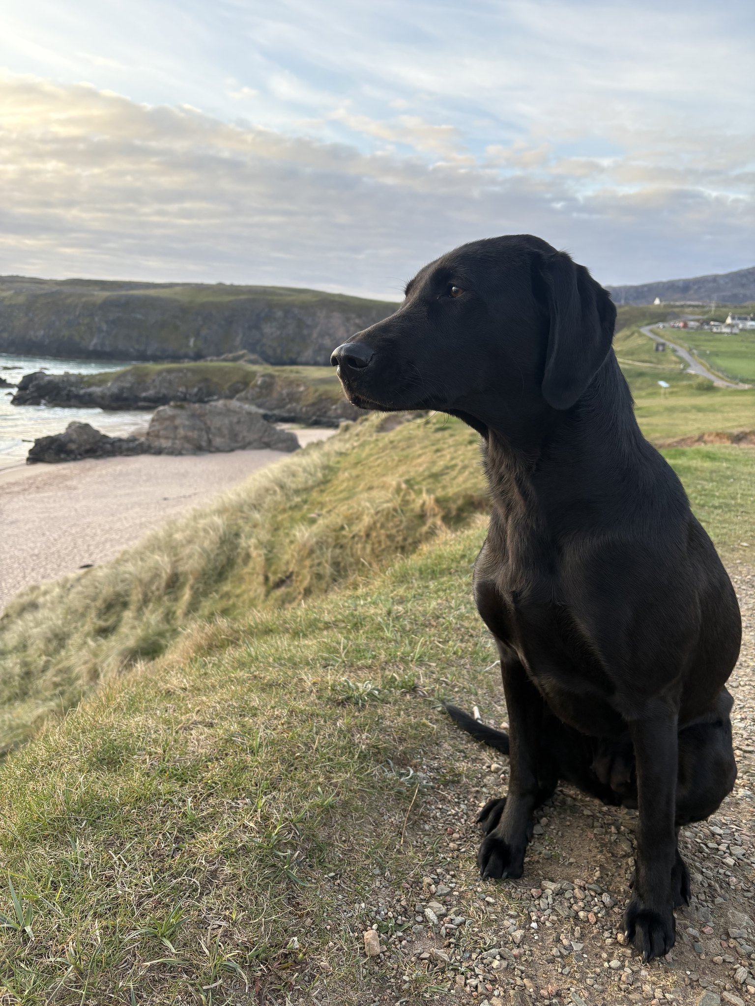 Senna sitting on the cliff top above a sandy cove