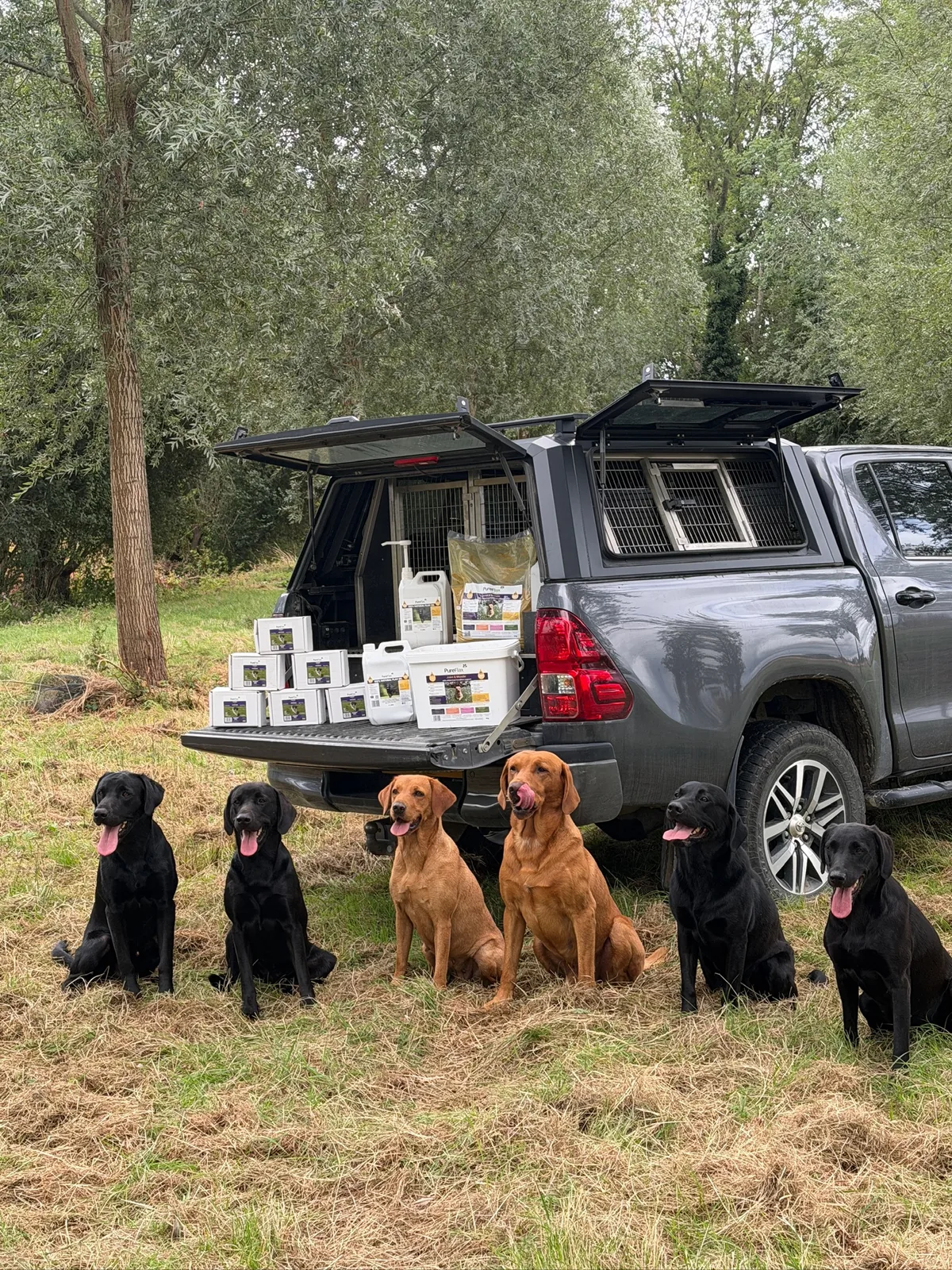 Life on the farm at Pittfield Gundogs