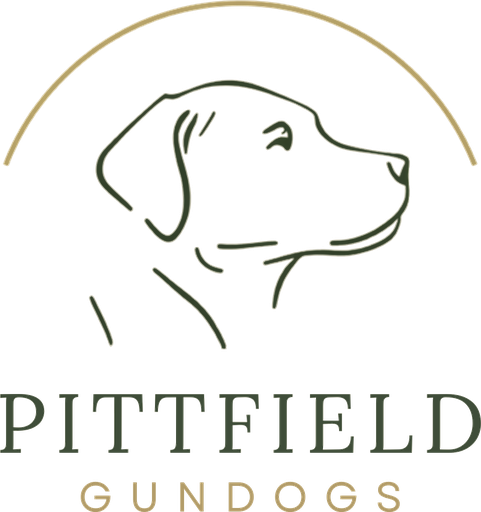 Pittfield Gundogs